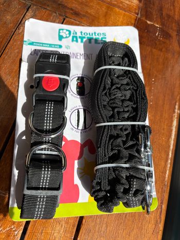 Laisse d entraînement neuve