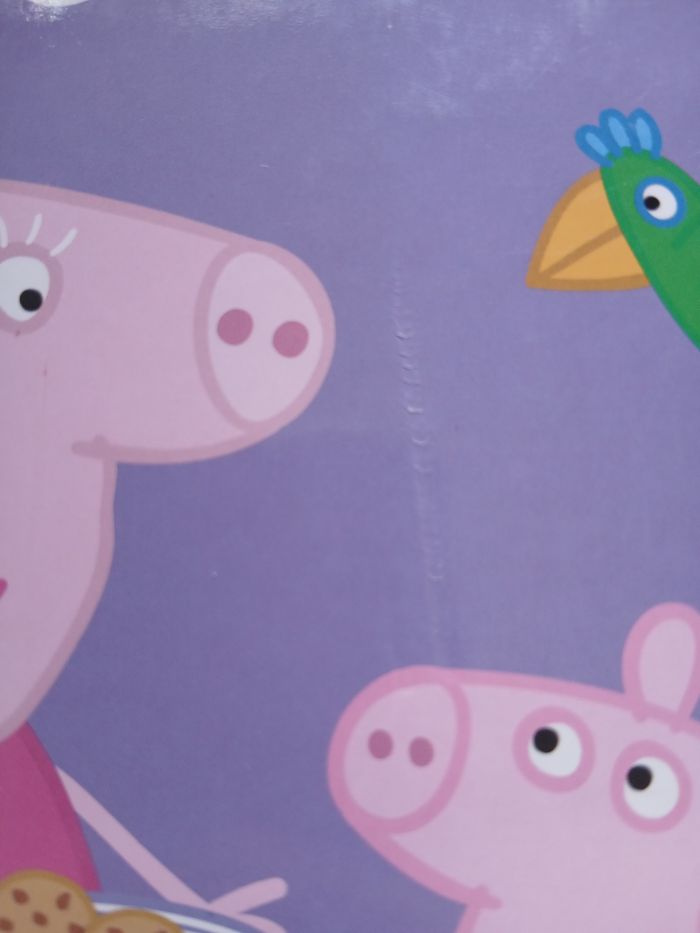 Livres enfants PePpa pig - photo numéro 4