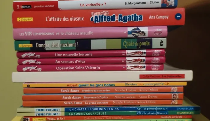 Lot 21 livres pour enfants dès 6 ans - photo numéro 3