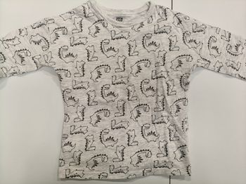 Tee-shirt manches longues garçon La redoute gris dinosaure 104 cm