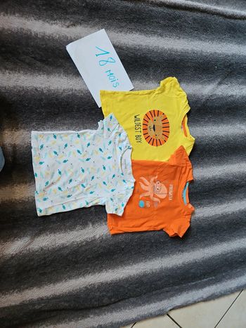 Lot de 3 Tee-shirt manches courtes 18 mois