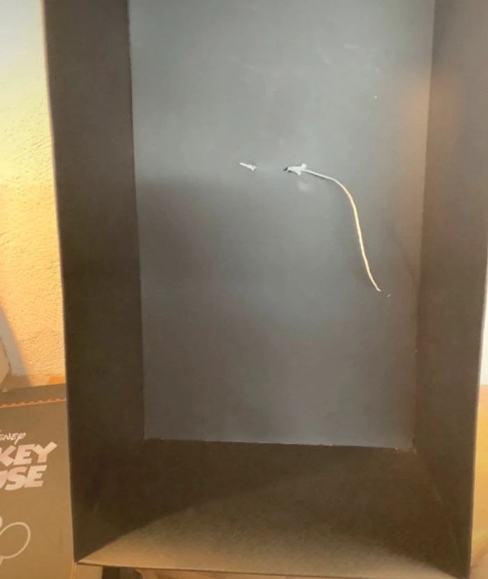 Mickey collector numéro 10 disney - photo numéro 5