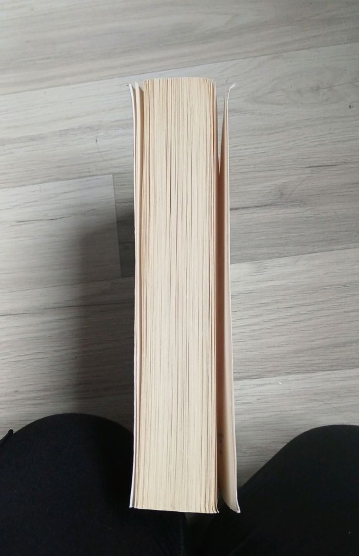 Belle et Sébastien - photo numéro 4