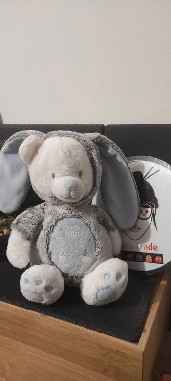 Mots d'enfants Doudou peluche ours déguisé lapin bleu blanc gris costume déguisement