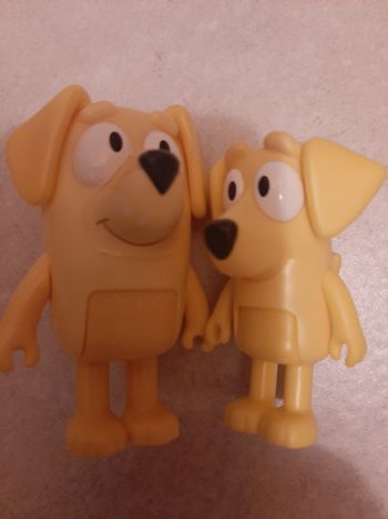 Lot 2 labradors Bluey