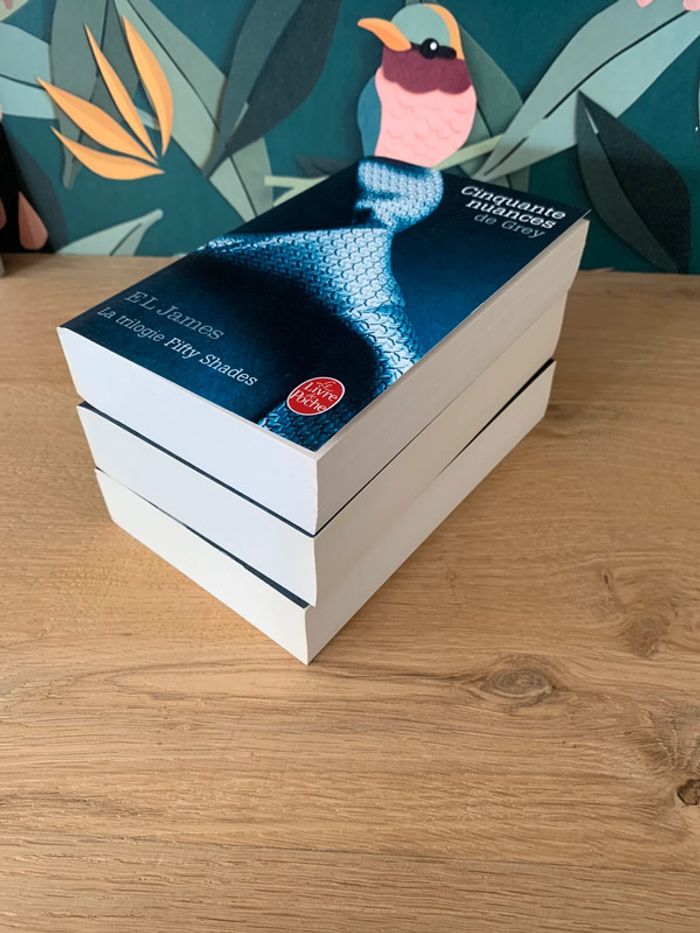 Trilogie Cinquante nuances de Grey - photo numéro 3