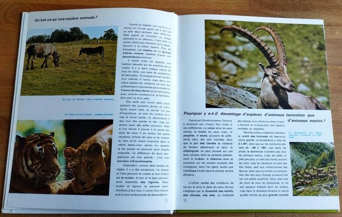 4 livres enfant nature et ses secrets Nathan - photo numéro 3