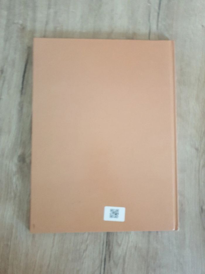 Bande dessinée Celtil - photo numéro 3