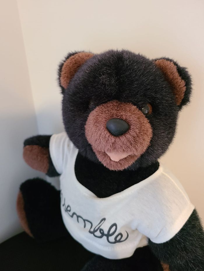 peluche ours - photo numéro 3