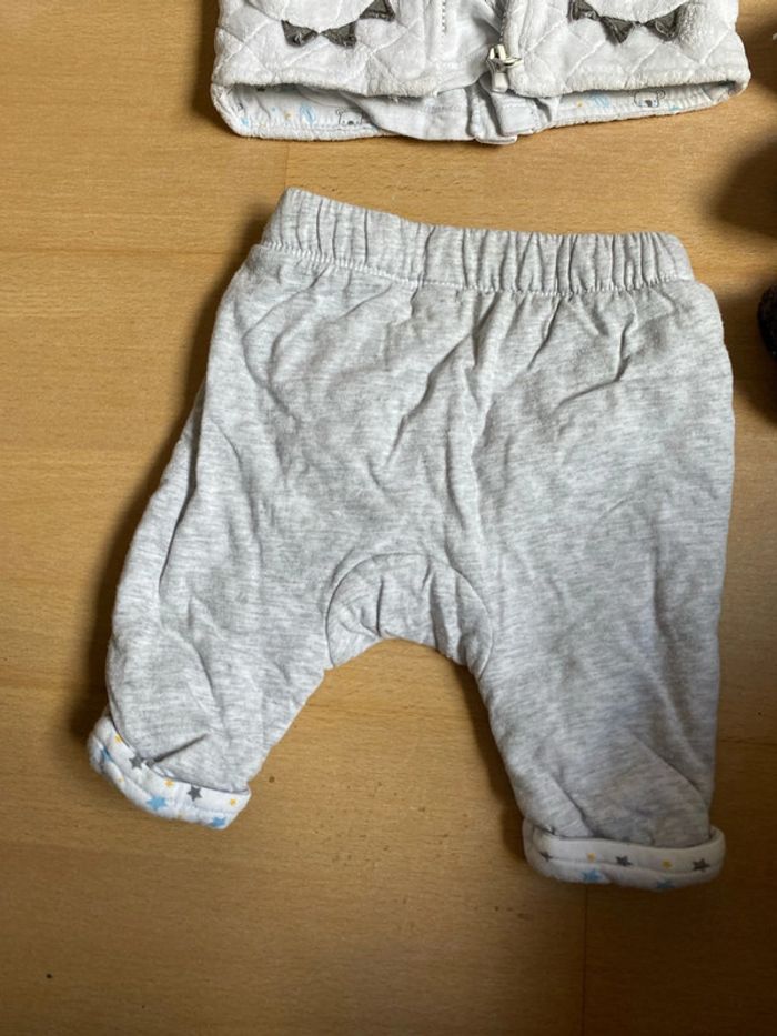 Ensemble koala - photo numéro 3