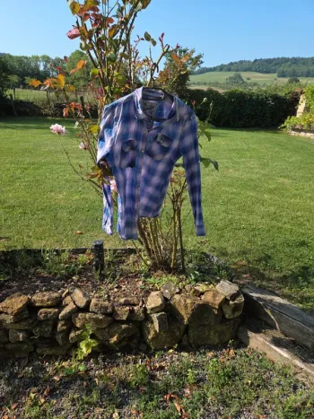 Chemise