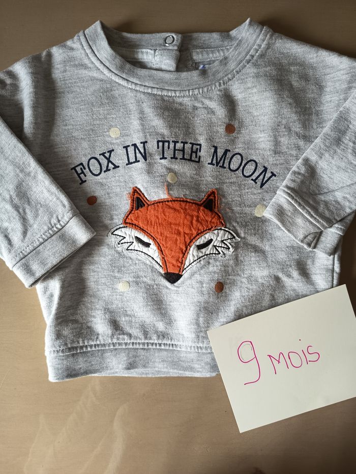 Pull mixte