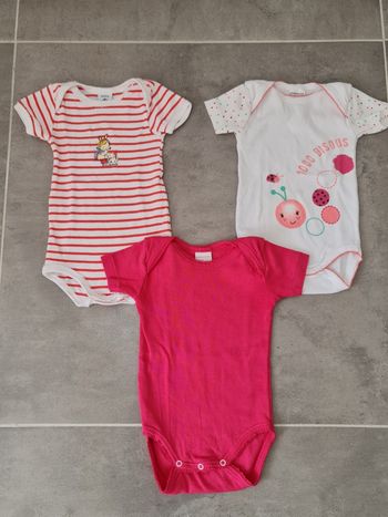 Lot 3 bodys absorba 6 mois