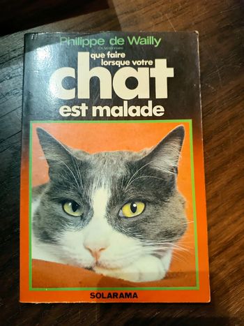 Que faire lorsque votre chat est malade