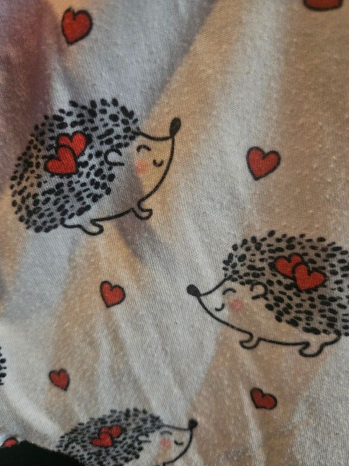 Ensemble hérisson - photo numéro 5