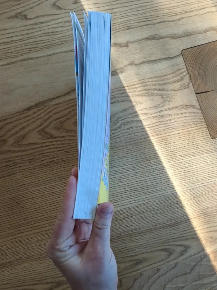 CRPE épreuves leçons maths/français - photo numéro 7