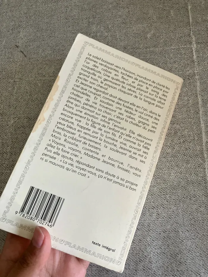 Une vie – Guy de Maupassant – Édition Flammarion - photo numéro 3