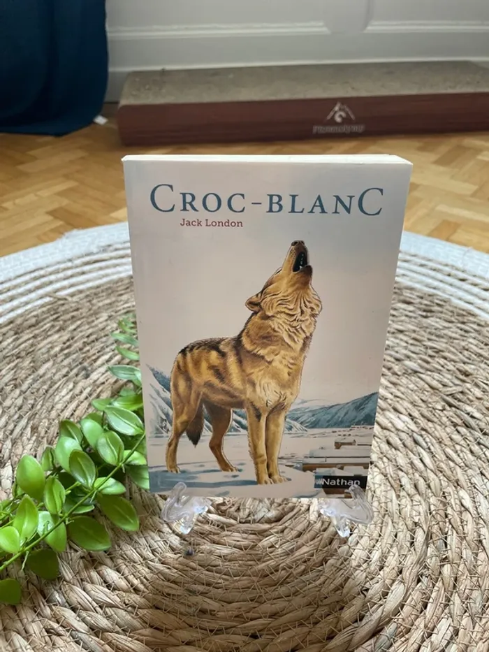 Livre - Croc blanc