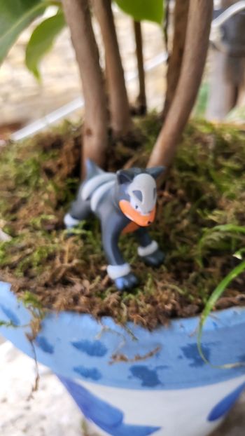 Super Figurine pokemon Nintendo malosse effet brillant