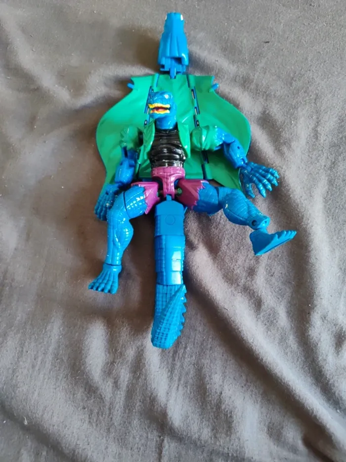 Lézard spiderman - photo numéro 3