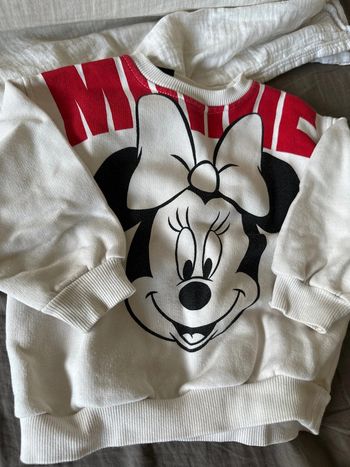 Superbe sweat Zara 92