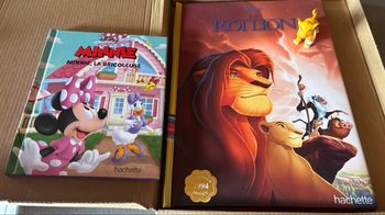 Livre Disney le roi lion