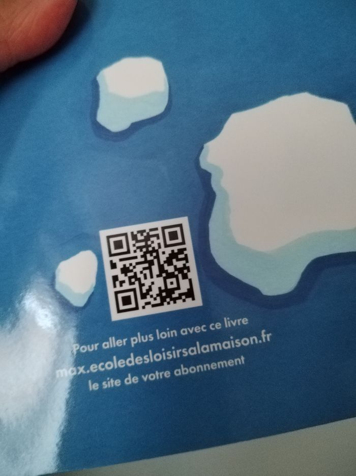 Livre : La mystérieuse baleine - photo numéro 3