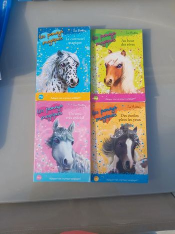Livre les poneys magiques