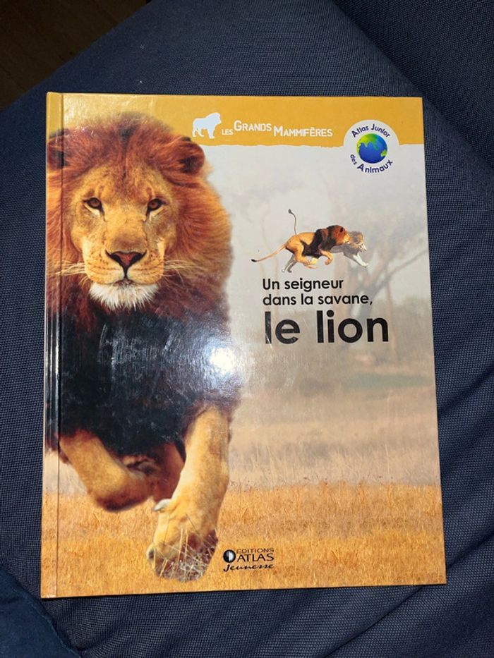Livre pour enfants sur les animaux le lion