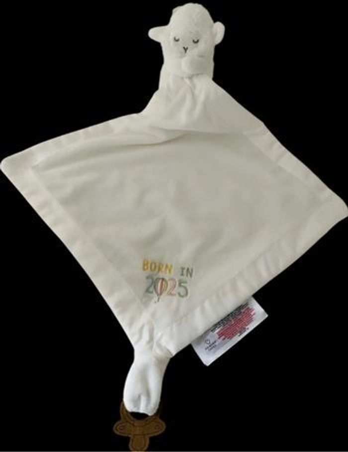 ❤️B4891 Doudou plat Mouchoir Mouton Agneau Blanc Born In 2025 Primark