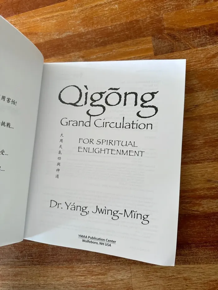 Livre qigõng grand circulation fort spiritual - photo numéro 5