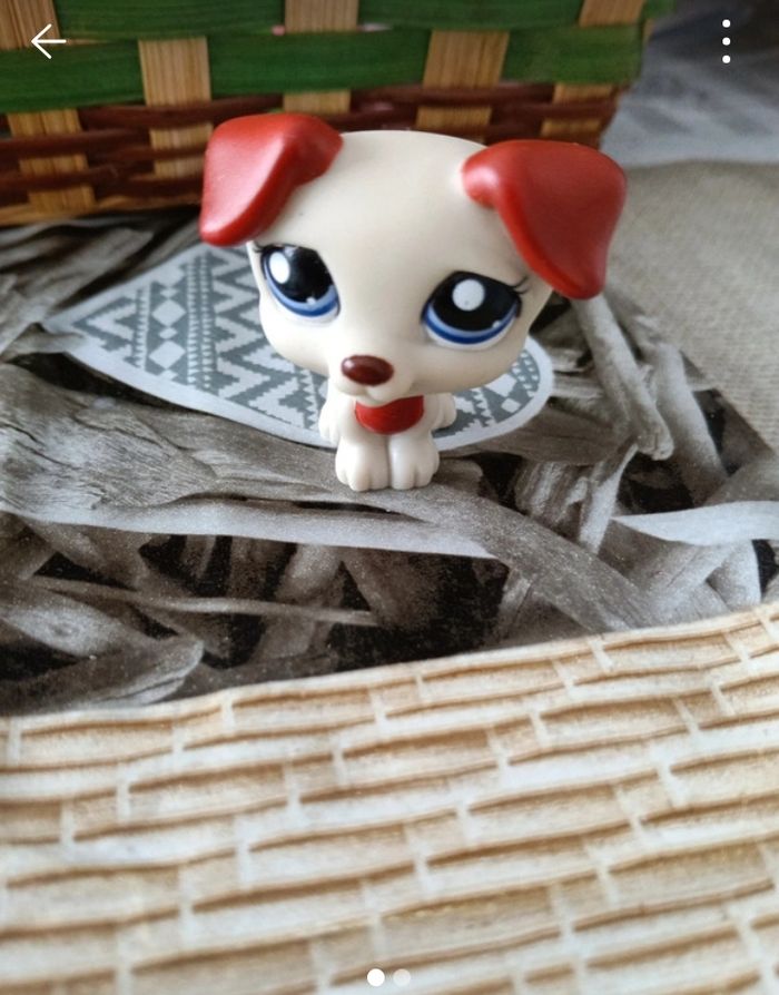 Pet shop