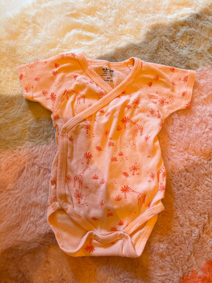 Body
