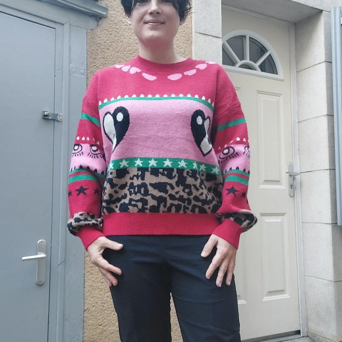Magnifique pull neuf taille unique