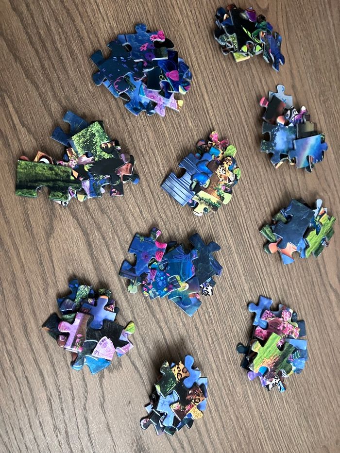 Puzzles Encanto - photo numéro 2