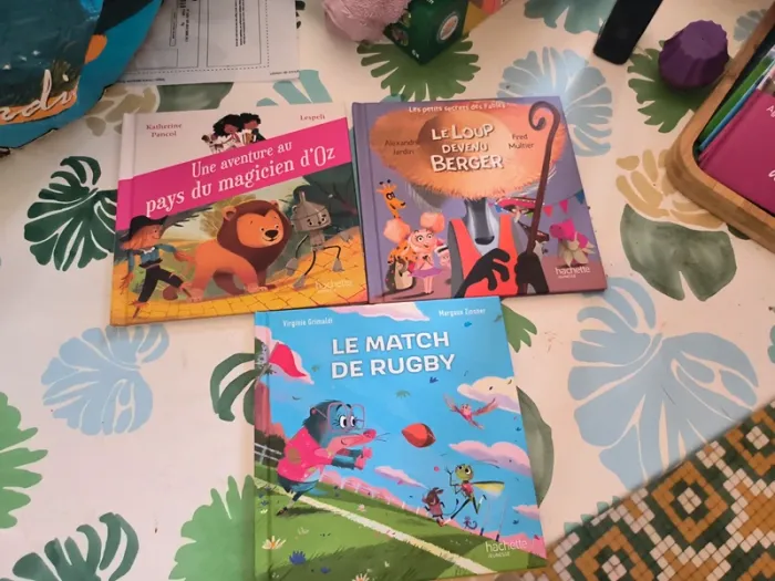 Lot livre MacDo