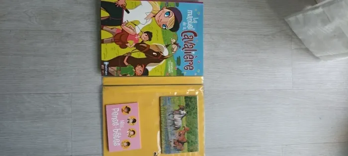 Le kit de la cavalière chevaux poney nathan - photo numéro 2