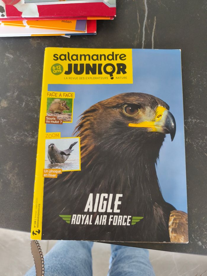 Salamandre junior - photo numéro 3