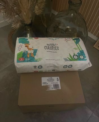 Carton de couches les petits culottés T5