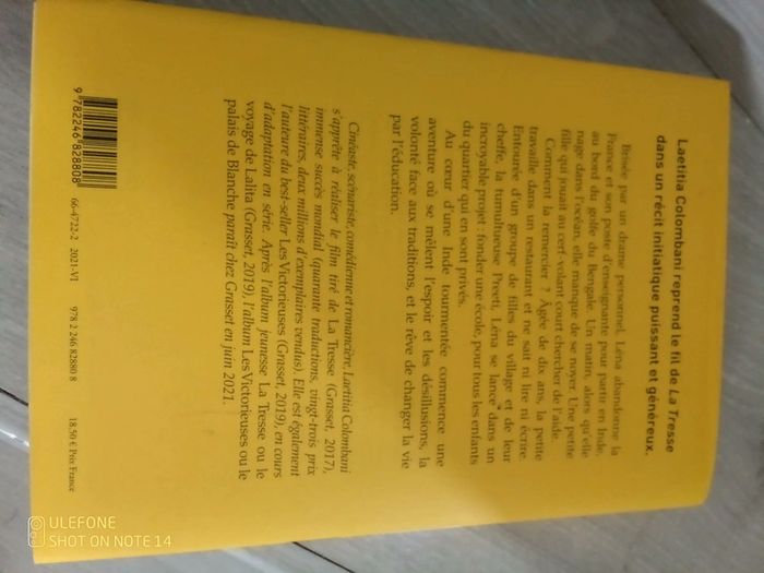 Roman le cerf volant , grand format avec jacquette - photo numéro 2