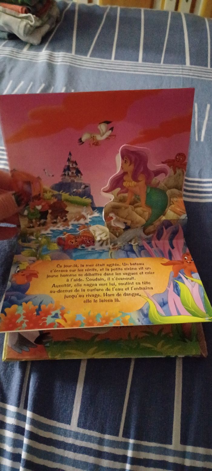 Très beau petit livre - photo numéro 3