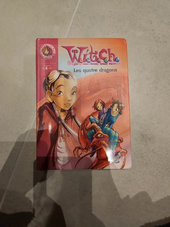 Livre: Witch