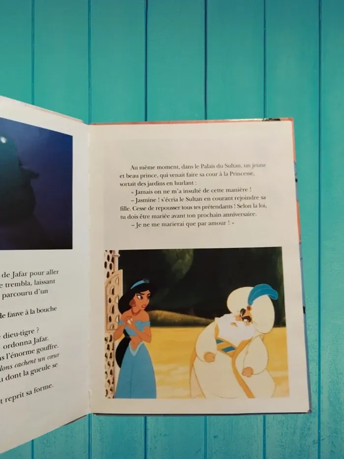 Livre - photo numéro 3