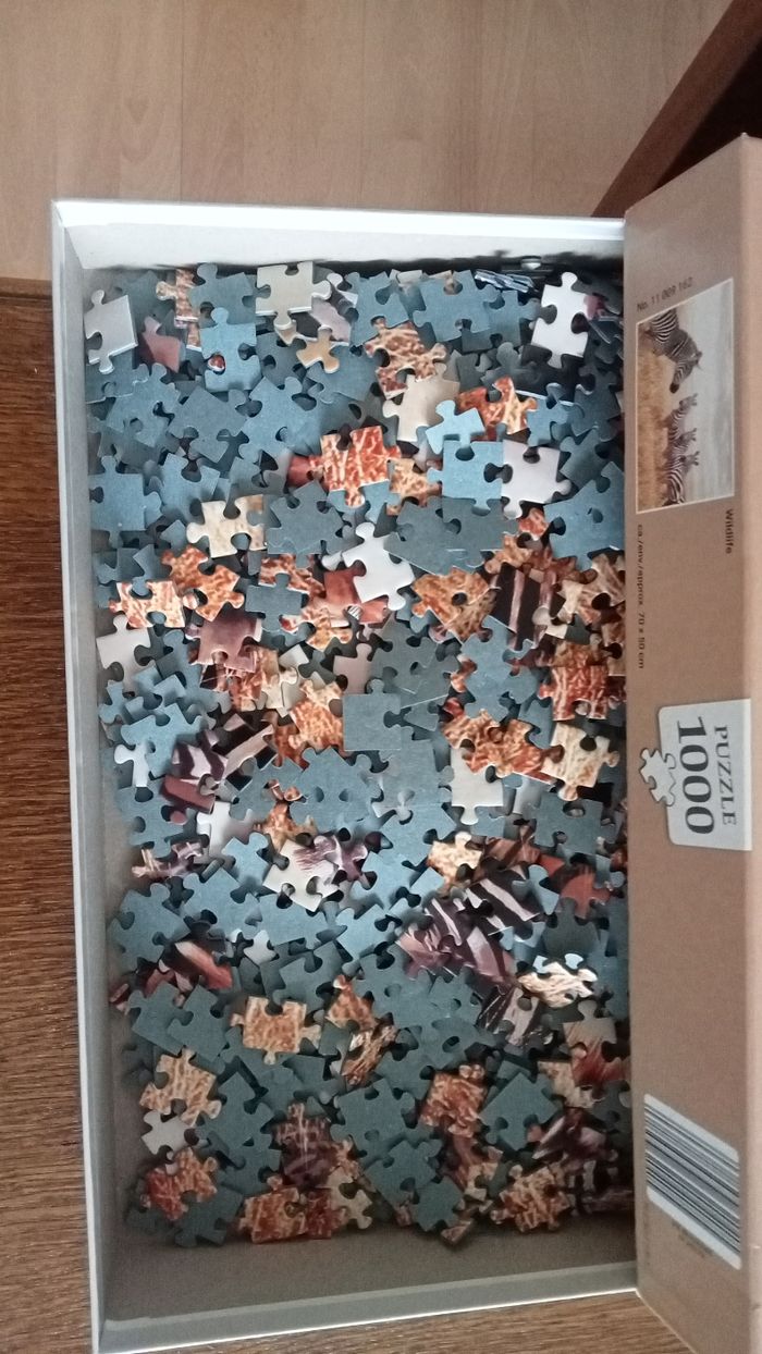 Pulzee - photo numéro 2