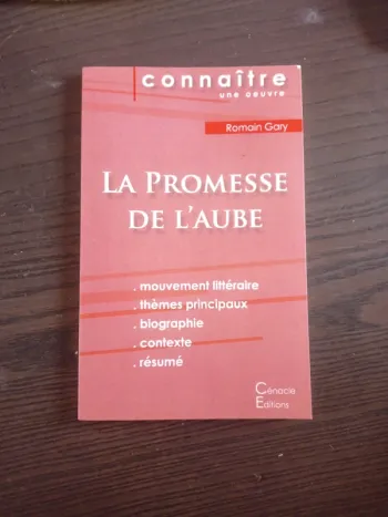 Fichebook la promesse de l'aube