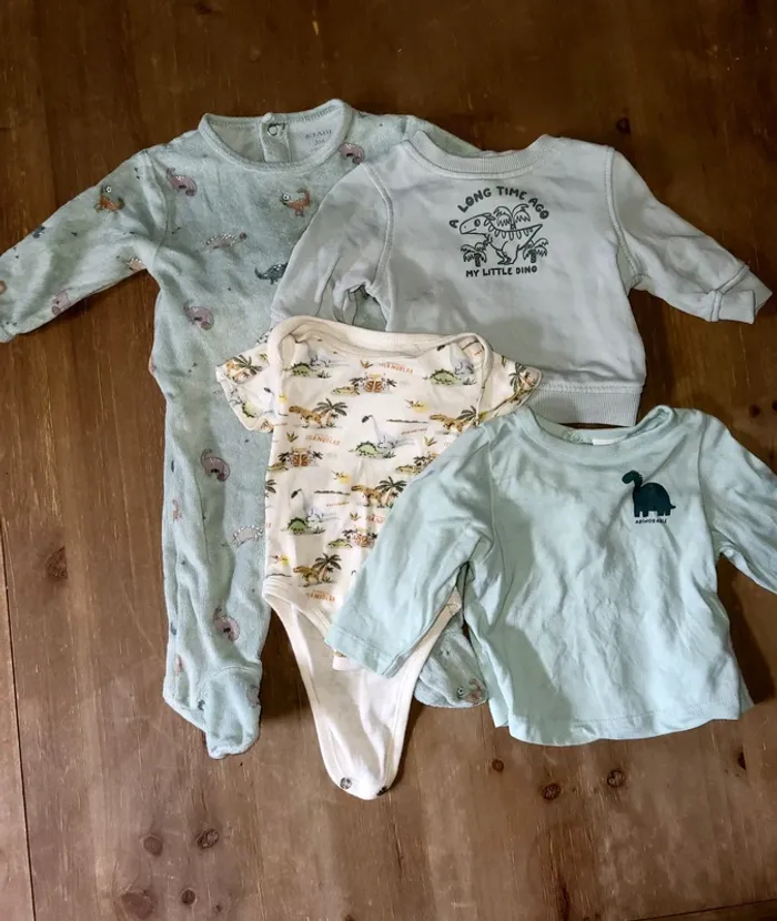Lot bébé garçon dinosaure.