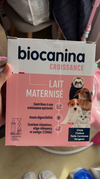 Lait chiot chaton petit carnivore, rongeur