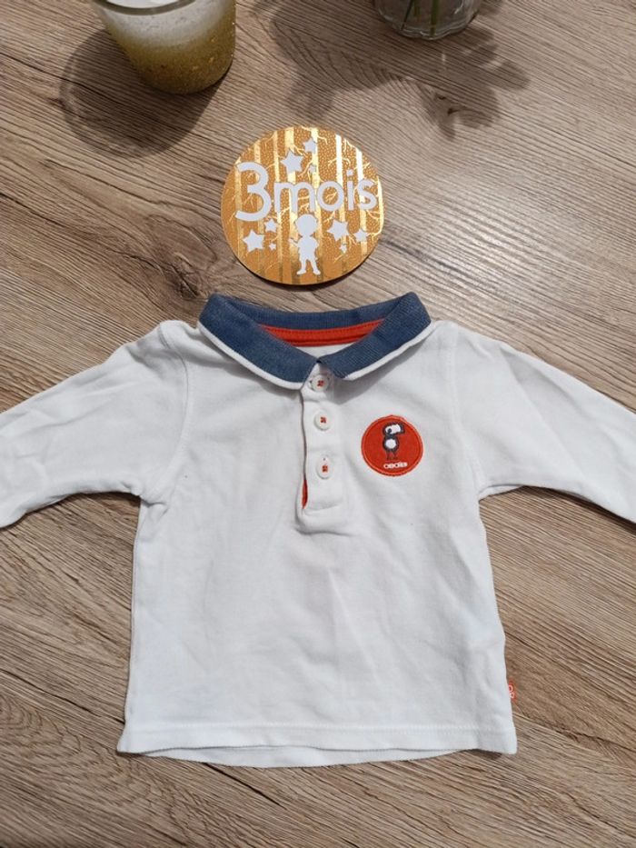 Polo 3 mois obaïbi - photo numéro 2