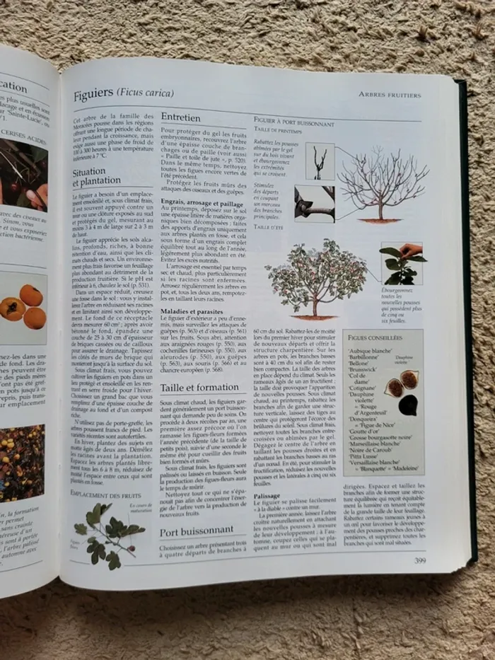 Encyclopédie pratique du jardinage - photo numéro 11