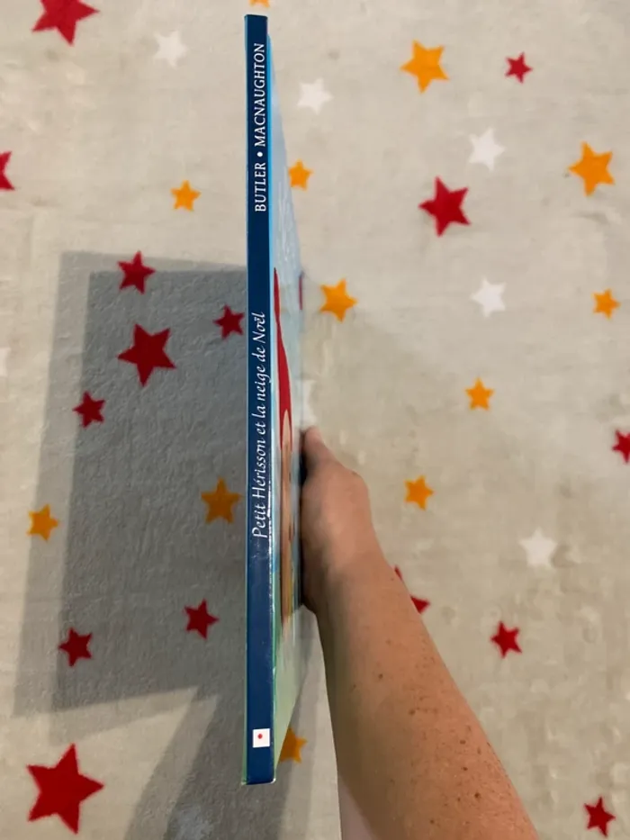 Petit Hérisson et la Neige de Noël – Grand format – Livre à toucher - photo numéro 2